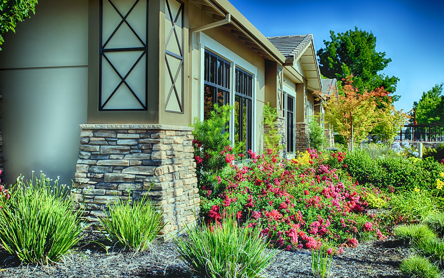 API Architecture Project 6