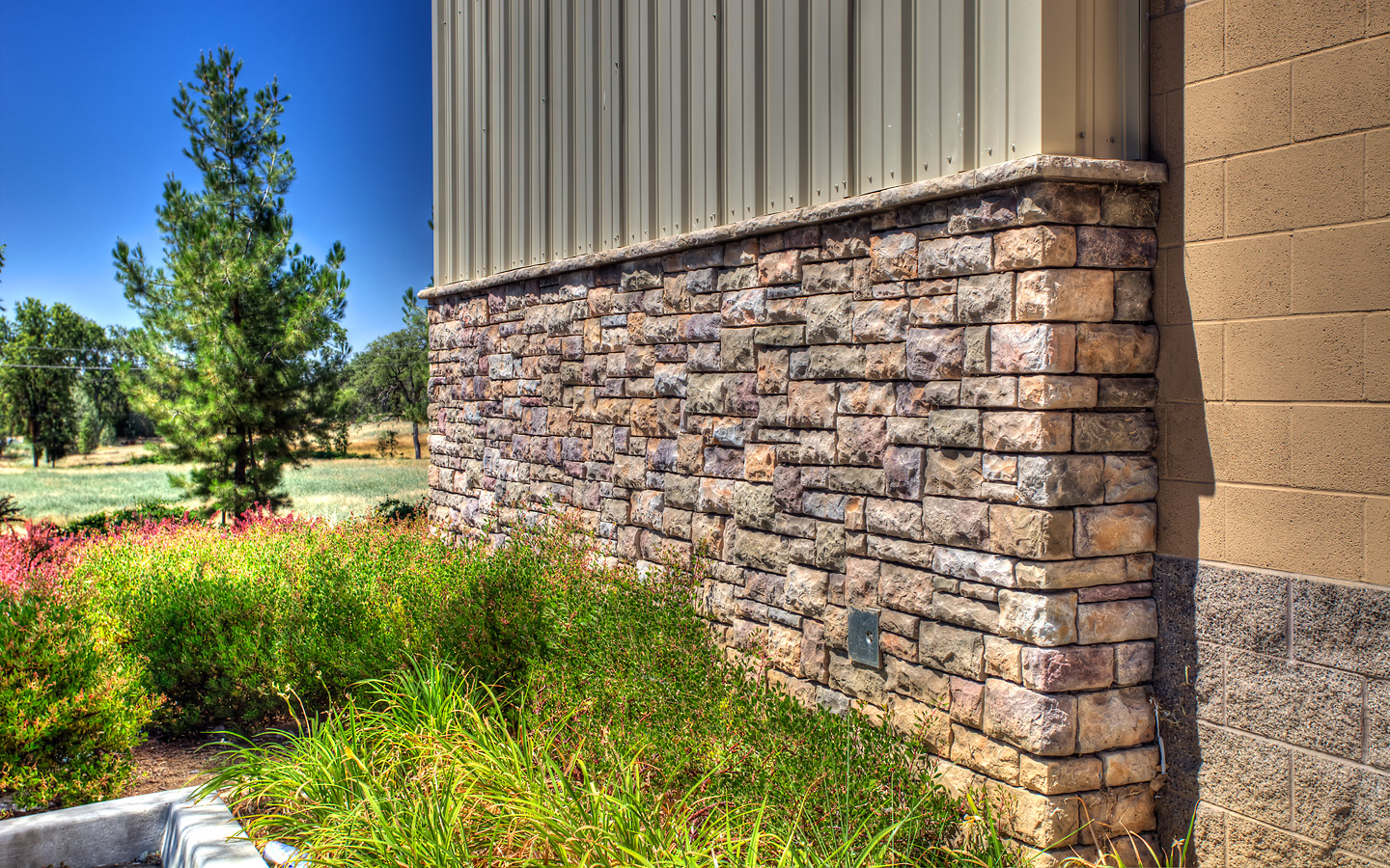 API Architecture Project 7